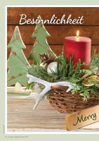 Kreative Adventsfloristik 1/2024