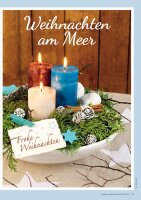 Kreative Adventsfloristik 1/2024 Printausgabe
