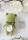 AMIGURUMI - Magazin 20/2025 E-Paper