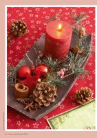 Kreative Adventsfloristik 1/2025