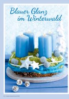 Kreative Adventsfloristik 1/2025 Printausgabe