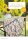 Patchwork Magazin 4/2026 Printausgabe