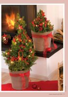 Kreative Adventsfloristik 1/2026