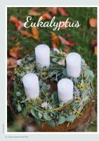 Kreative Adventsfloristik 1/2026