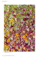 Patchwork Professional 5/2026 Printausgabe