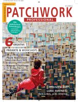 Patchwork Professional 1/2014 E-Paper